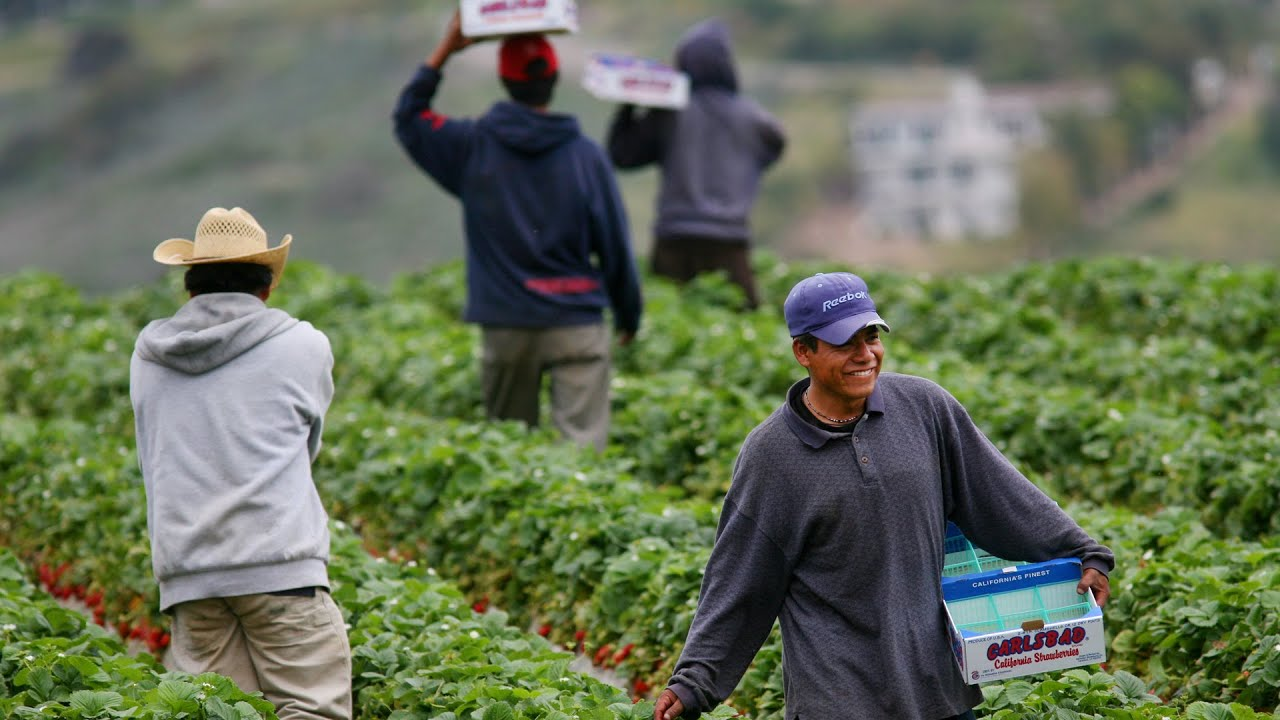 Empacado agrícola